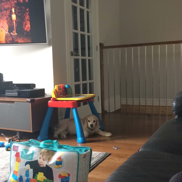 Meet your Posher, Lisa - Picture 1 of 1